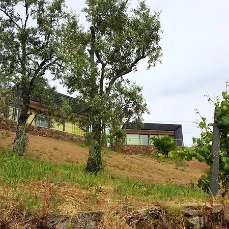 2 Bedrooms Bungalow With Shared Pool Garden And Wifi At Σπίτι διακοπών Furtado