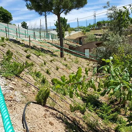 Σπίτι διακοπών 2 Bedrooms Bungalow With Shared Pool Garden And Wifi At *